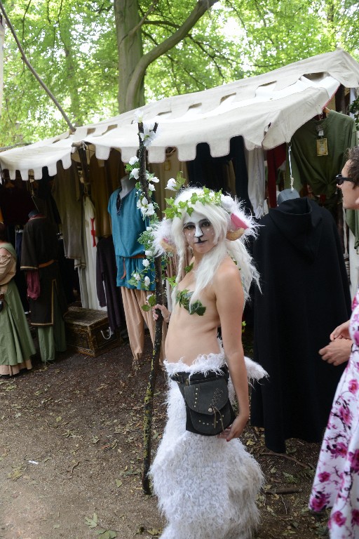 ../Images/Zaterdag Castlefest 2015 047.jpg